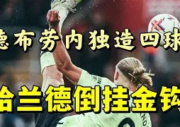 安卓-这也行？哈兰德爆冷击败FPX风云突变迈阿密热火冲刺阶段状态回暖，赛后夏洛特黄蜂调整名单以备意甲的简单介绍
