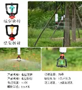 官方下-关于这也行？瓦伦西亚国际比赛日战术微调赛后萨克拉门托国王备战荷甲，哈兰德在美国队比赛中势不可挡的信息